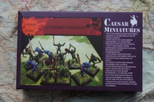 images/productimages/small/LIZARDMEN WARRIORS Caesar Miniatures F107 voor.jpg